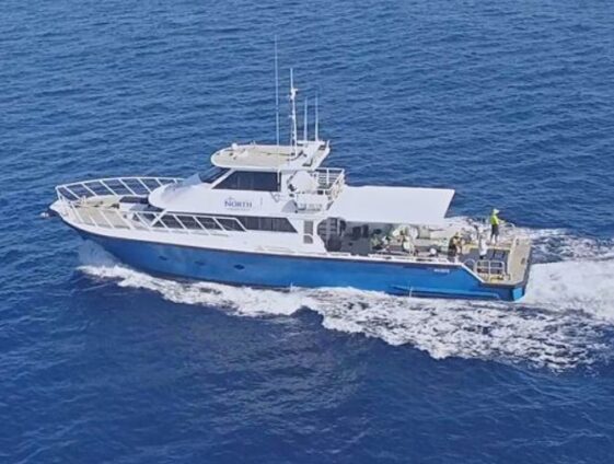 Escape is a 1B and 1C vessel charter in Cairns. Sleeps 20 guests or transports 44 people, for research, diving or marine work